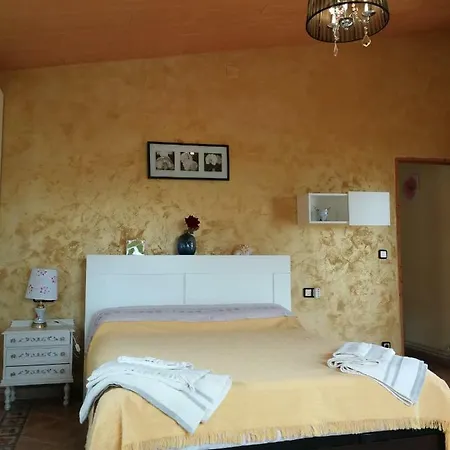 San Diego, Entera Ti Vallonga