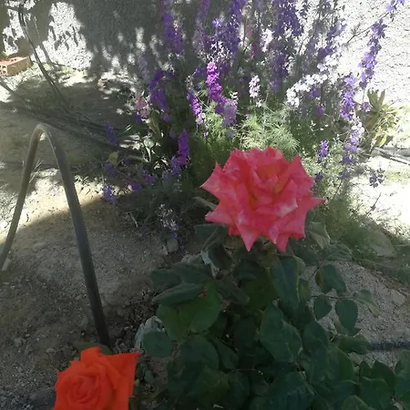 San Diego, Entera Ti