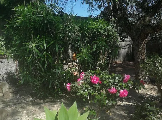 カントリーハウス San Diego, Entera Ti