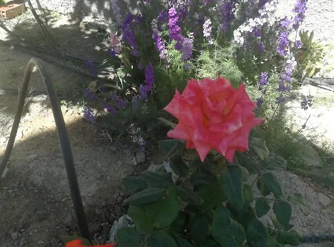 San Diego, Entera Ti