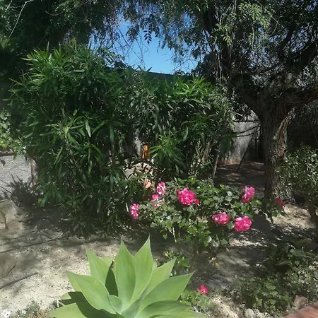 Country house San Diego, Entera Ti
